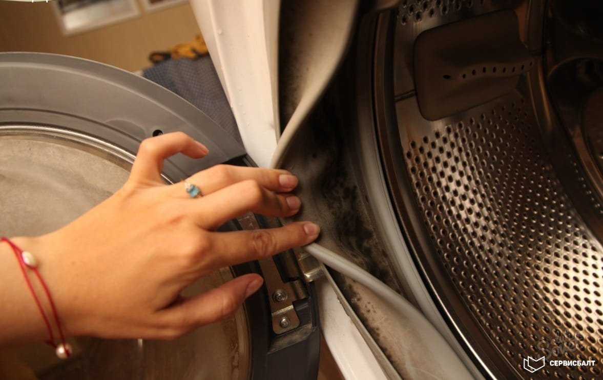 Завелась плесень в стиральной машине